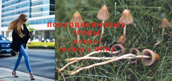 кокаин колумбия Краснослободск