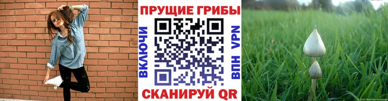 Псилоцибиновые грибы ЛСД  гидра зеркало  Кировград  наркотики 